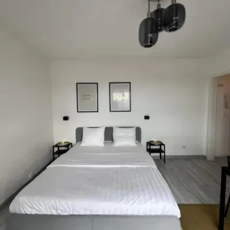 Cosy Rent Wifi Terrasse St Aloise Strasbourg