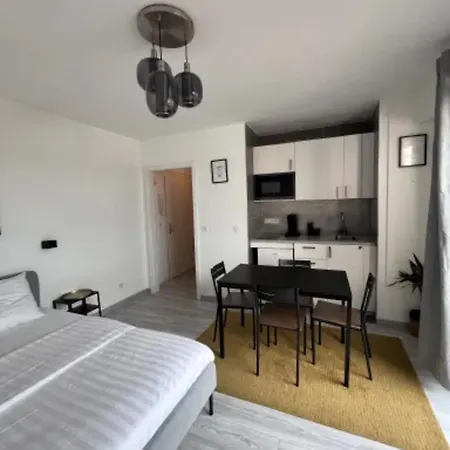 Holiday home Cosy Rent Wifi Terrasse St Aloise Strasbourg